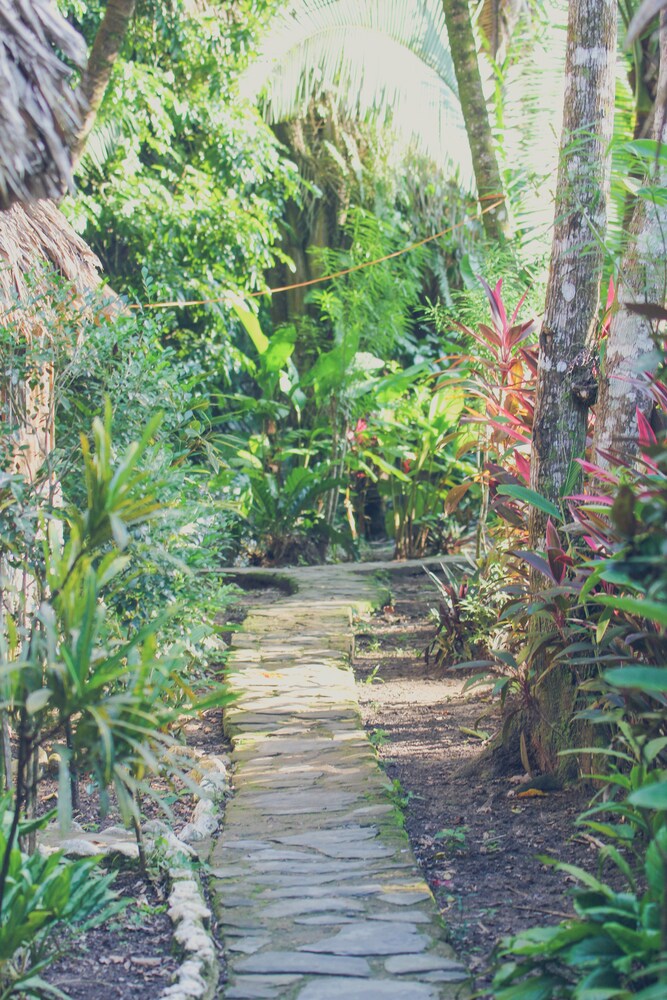 Belize Vacations - Cohune Palms River Cabanas - Property Image 24