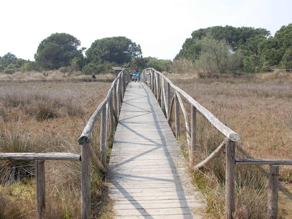 Sun Drenched Seaside Holiday Home with Pool near Venice photo 5