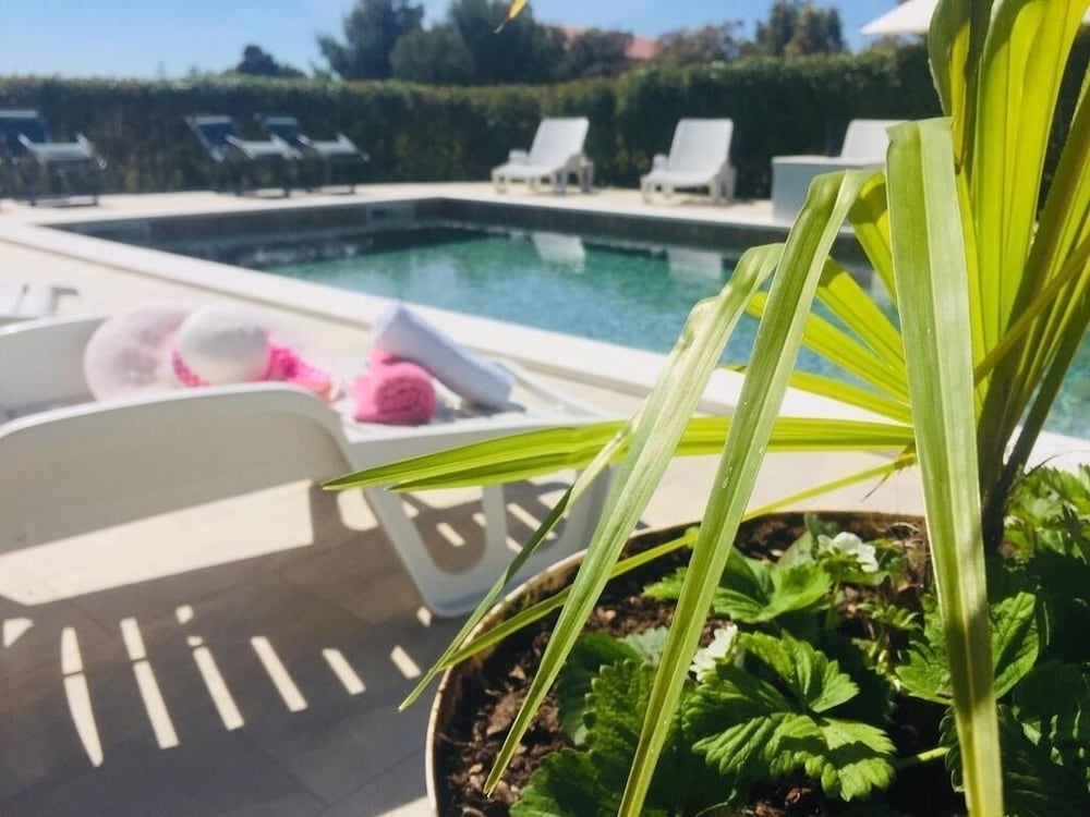 Pool - Swimming Pool and Grill - A1 view 2