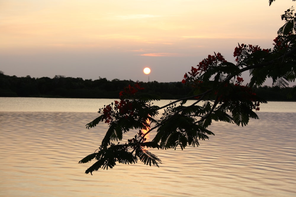 Photo 40