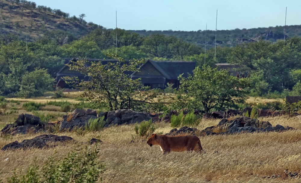 Hobatere Lodge