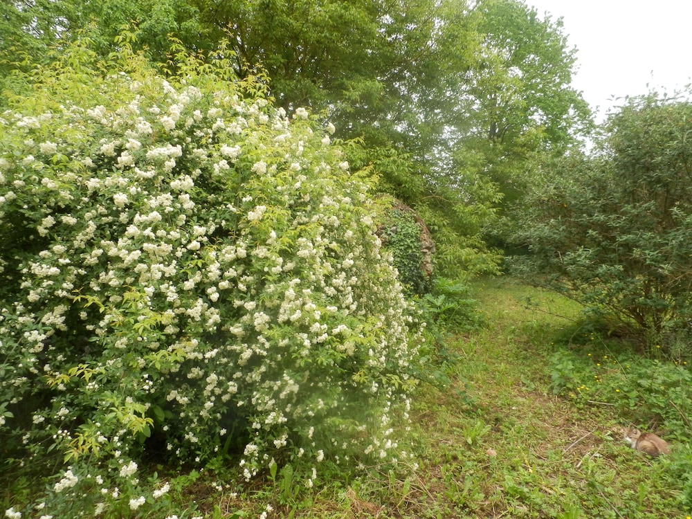 Photo 32