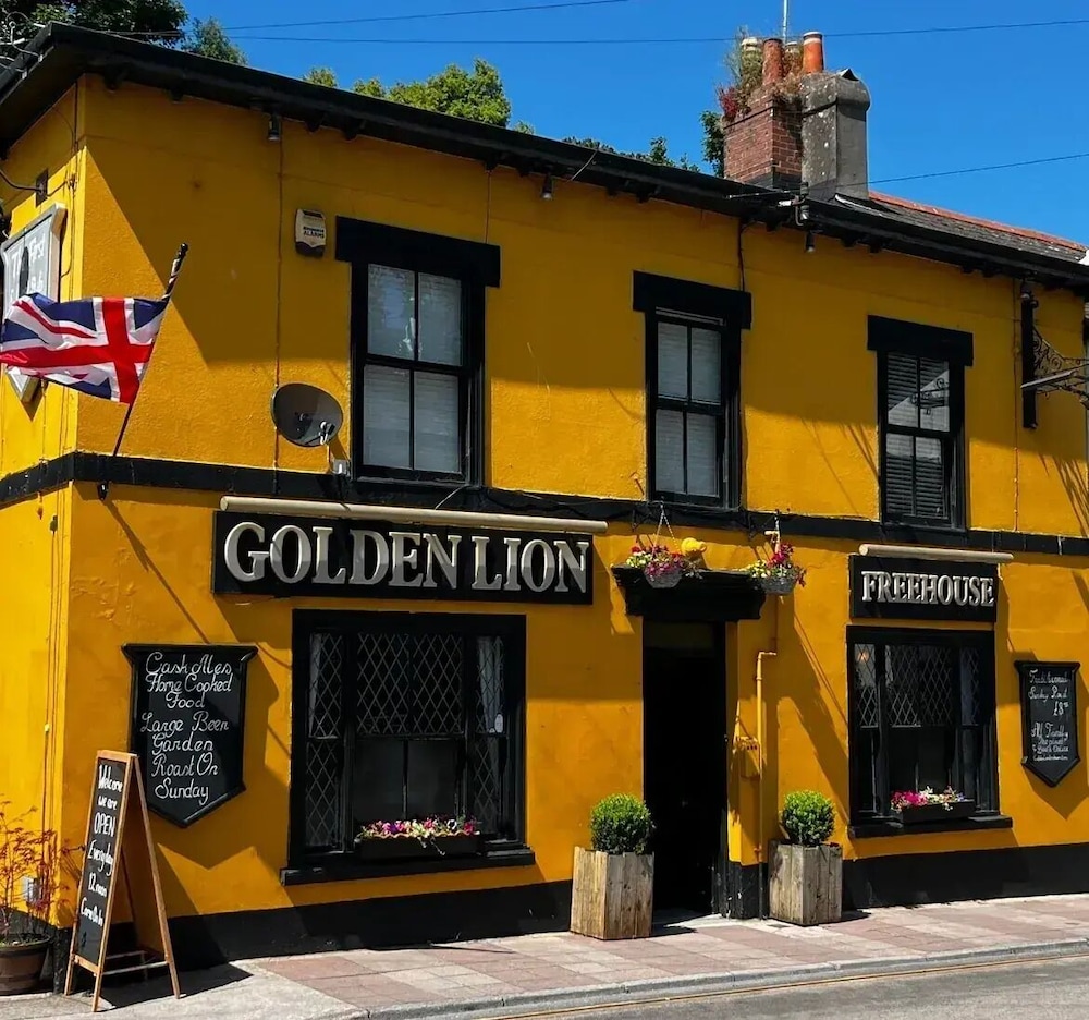 Golden Lion view 5