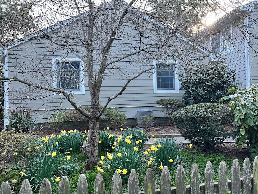 OAK Avenue 33