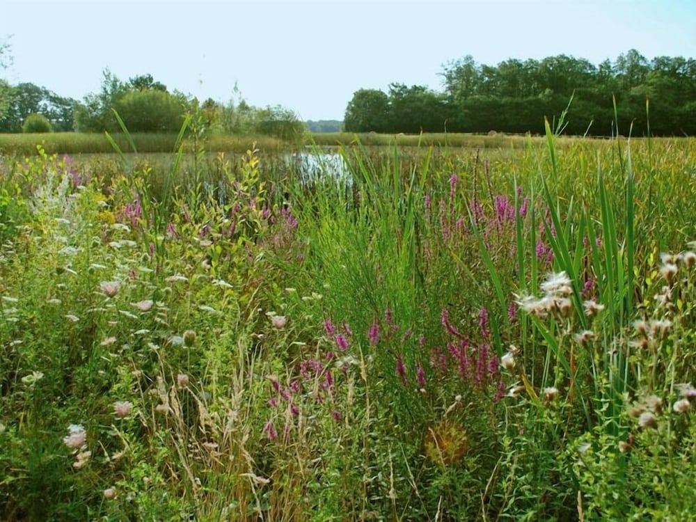 Gîtes Les Closeaux