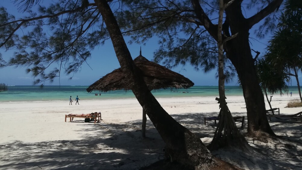 Kiwengwa Vacations - Maisha Marefu Apartments - Property Image 18