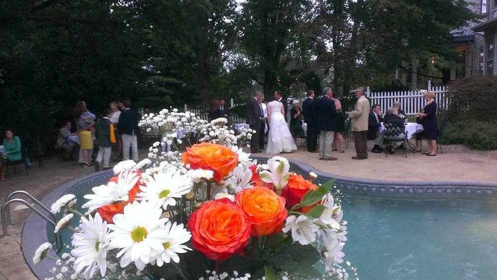 Photo 46