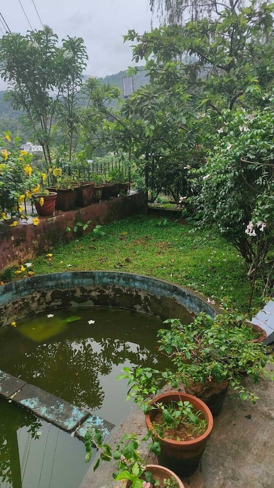 Johns Solitude