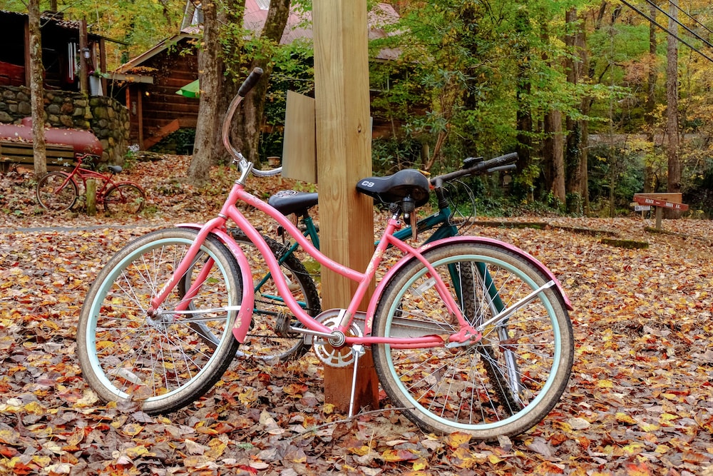 Bear Creek Lodge and Cabins in Helen Ga - Pet Friendly, River on Property, Walking Distance to downtown Helen