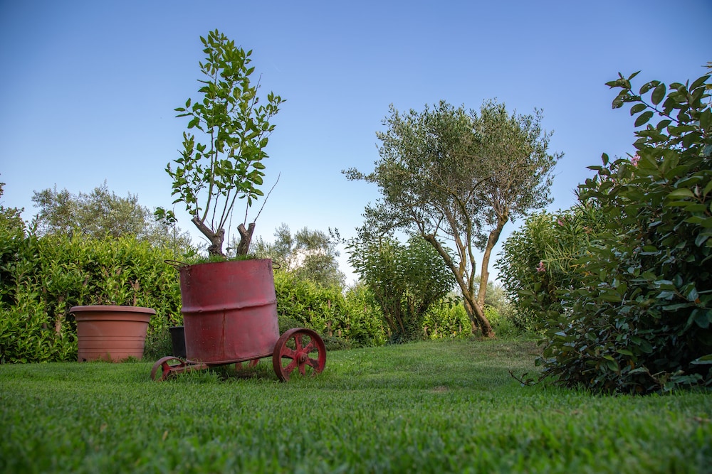 B&B Ellera Viterbo