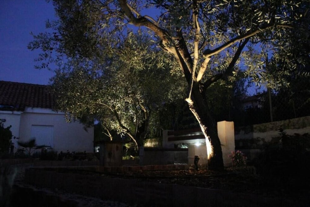 Photo 14