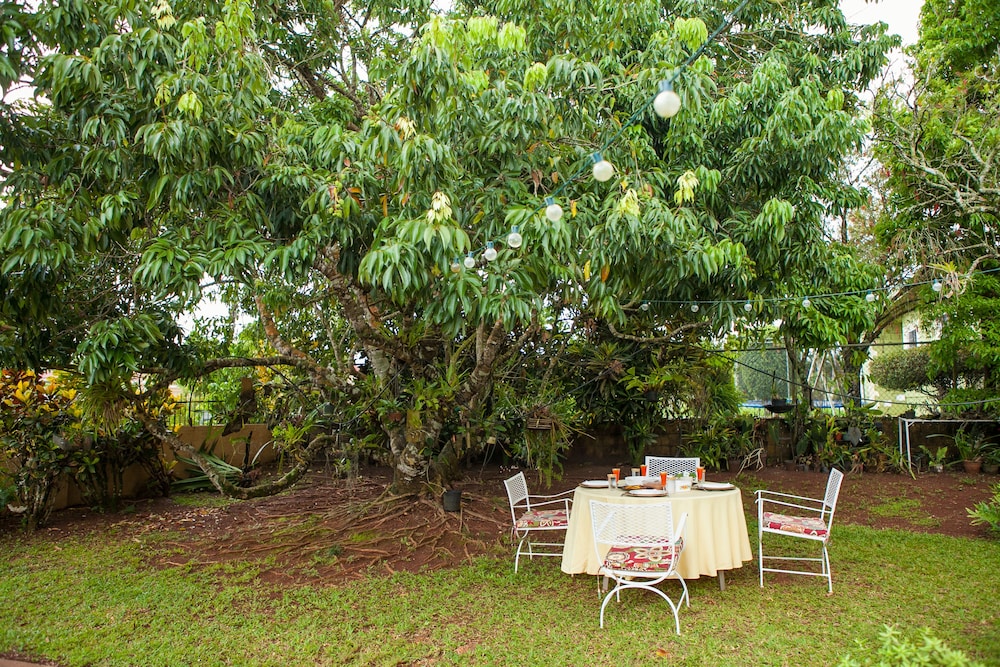 Casa da Buena Vista - Photo 38