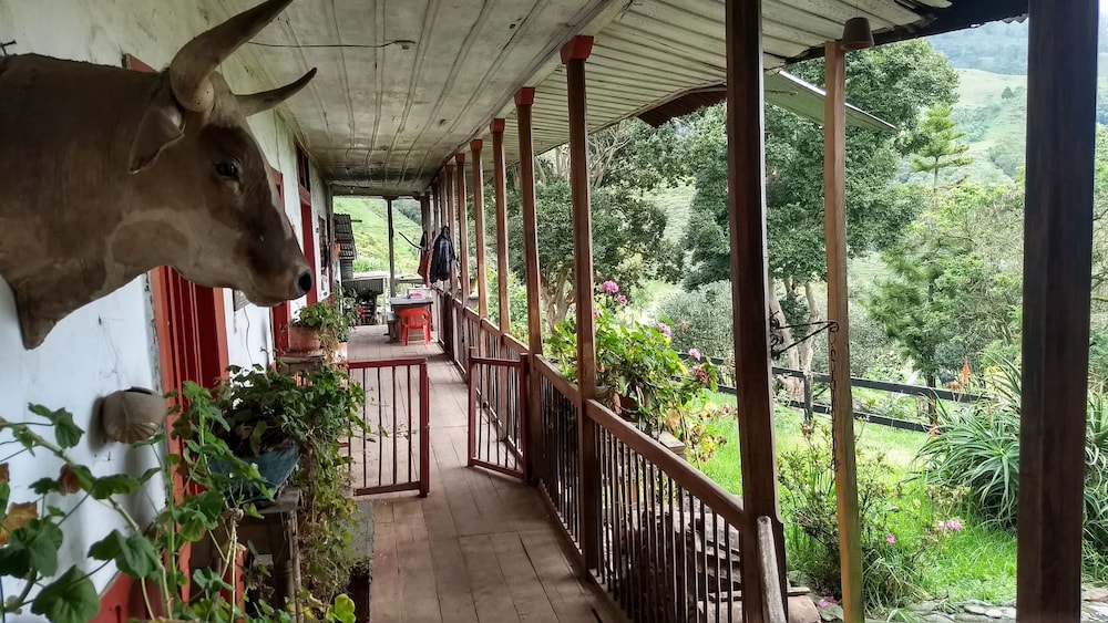 Finca Los Arboles