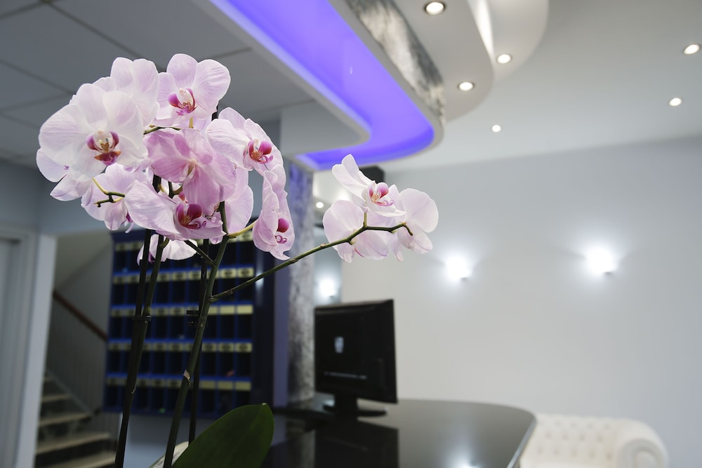 Alex & Lorenz Hotel view 4