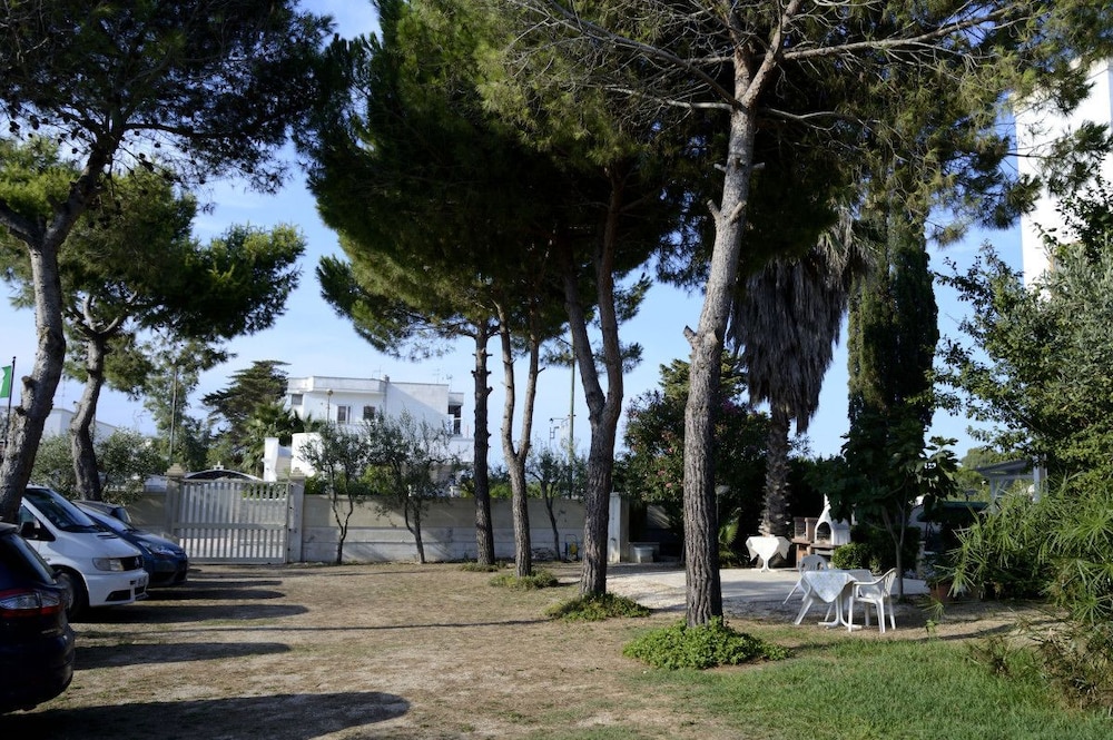 Photo 45