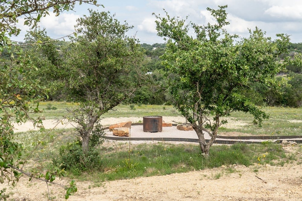 Willie In the Hill Country - Hacienda Amor