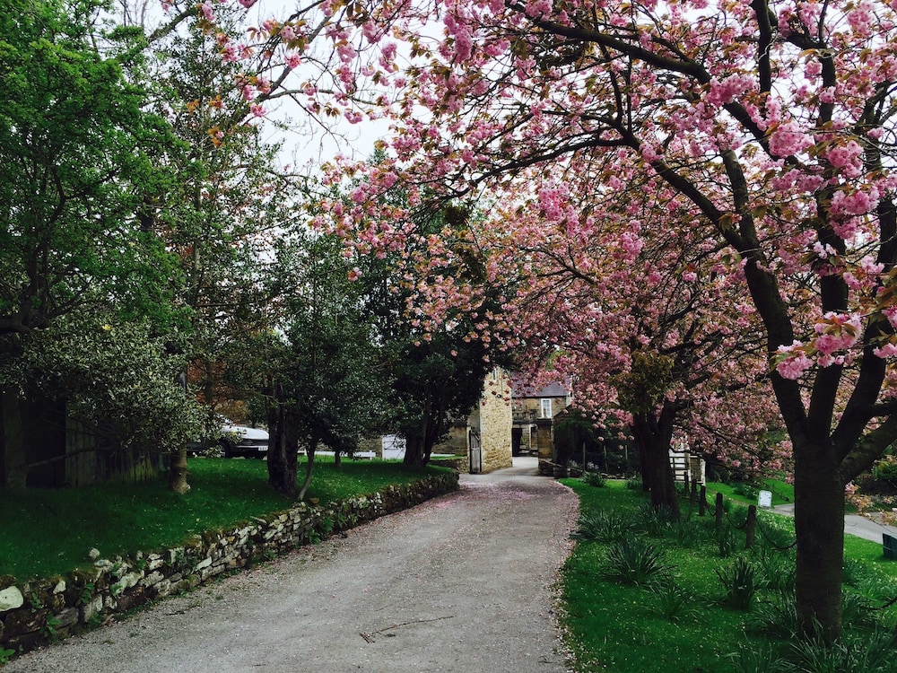 Photo 39