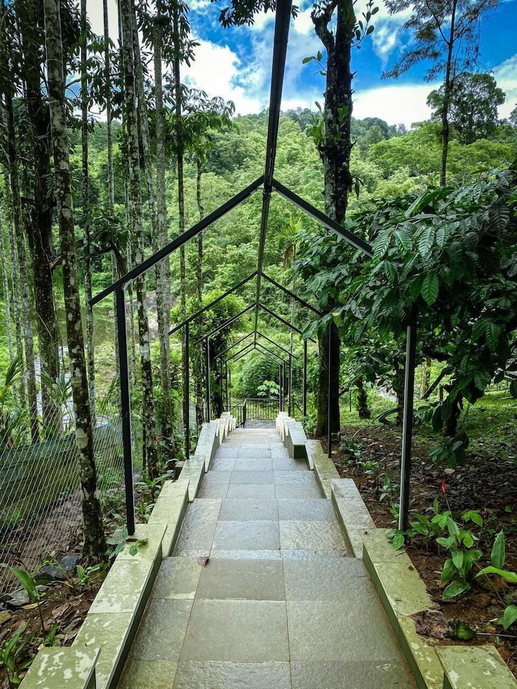 Rill woods