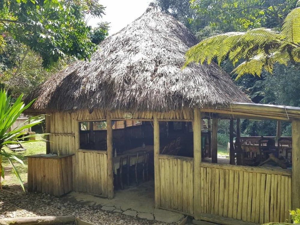 Nshongi Forest Camp view 5