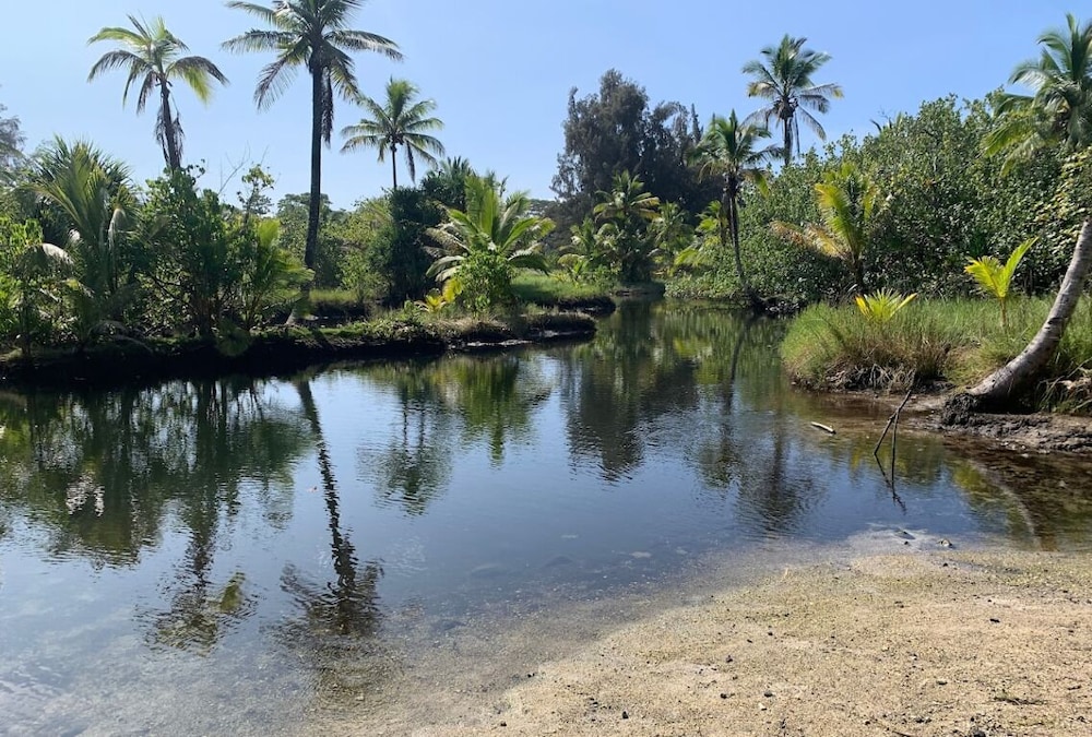 Plumeria Hilo Hotel