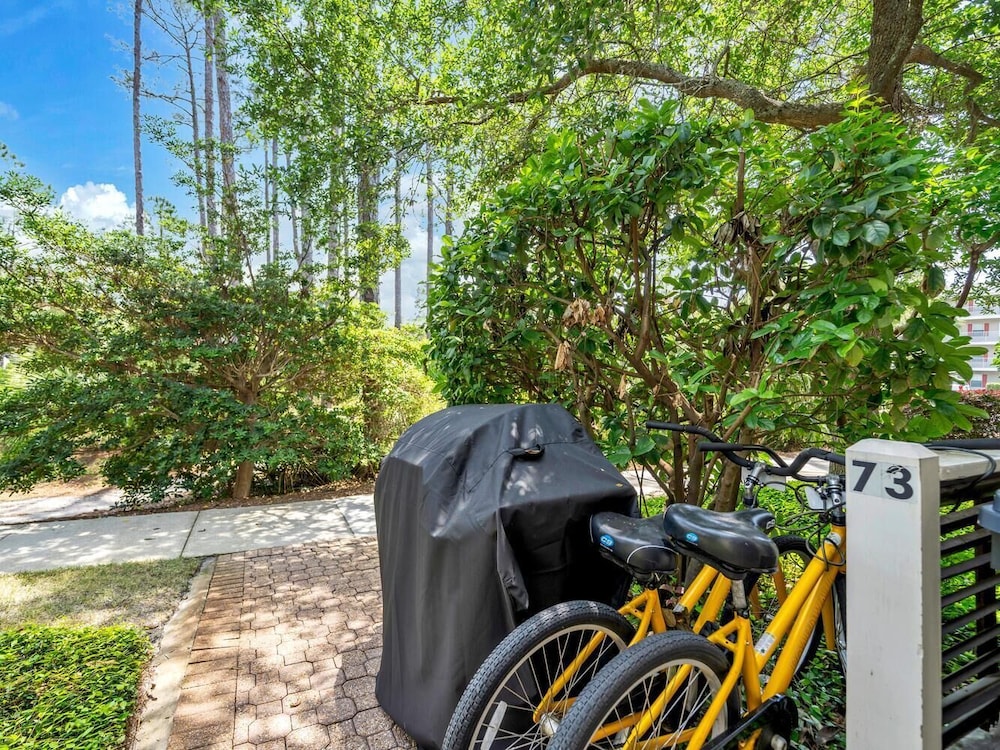 Gulf Place Courtyard 73