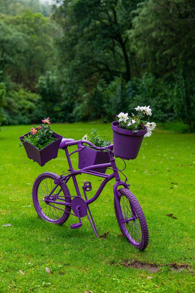 Sierra Lago Resort  Spa - All inclusive - Property Image 72