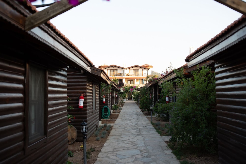 Photo 49