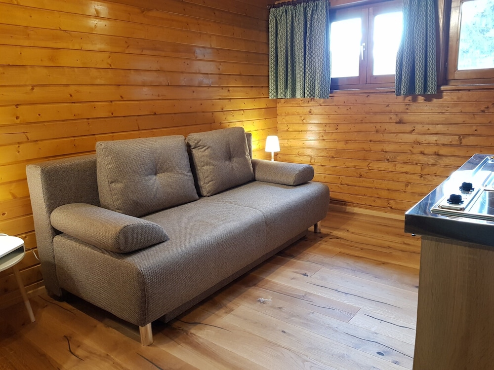 Apartment Near Romerbad Thermal Spa