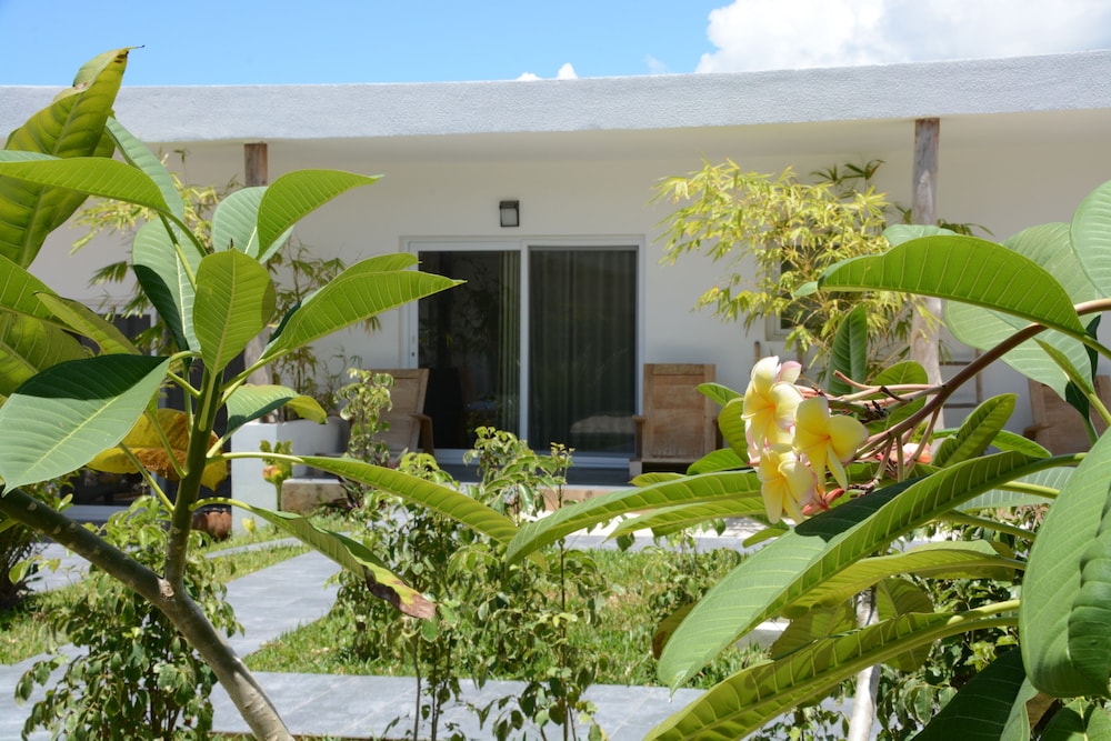 La Base B&B view 2