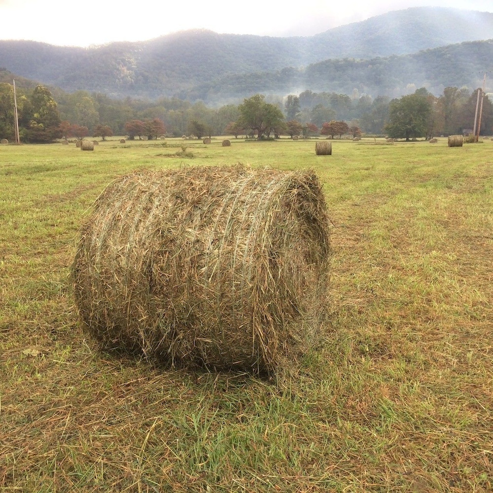 Pisgah View Ranch