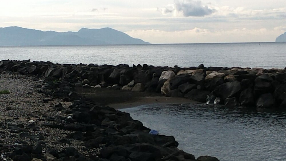 Photo 31