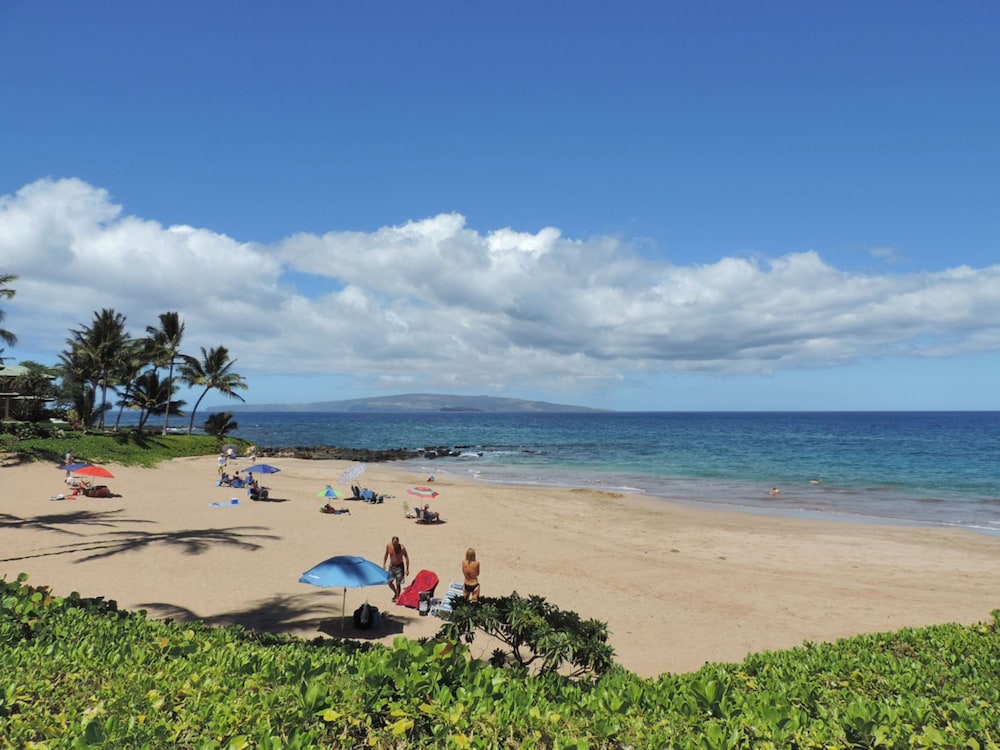 Polo Beach Club Vacation Rentals - APlus Resorts