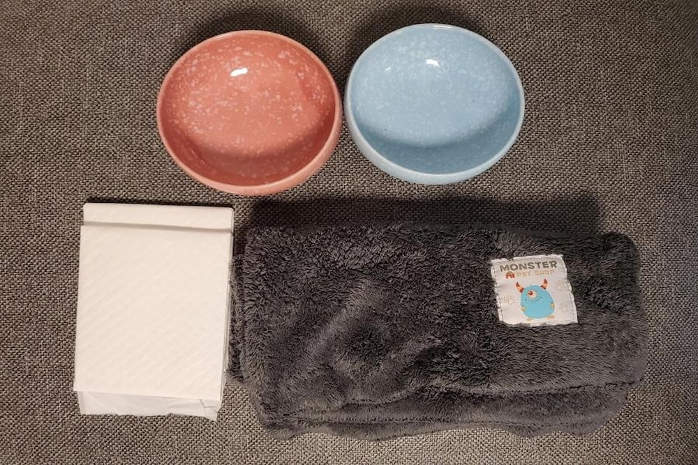 Gapyeong Swimteo Pet Pension, 가평군 - 19