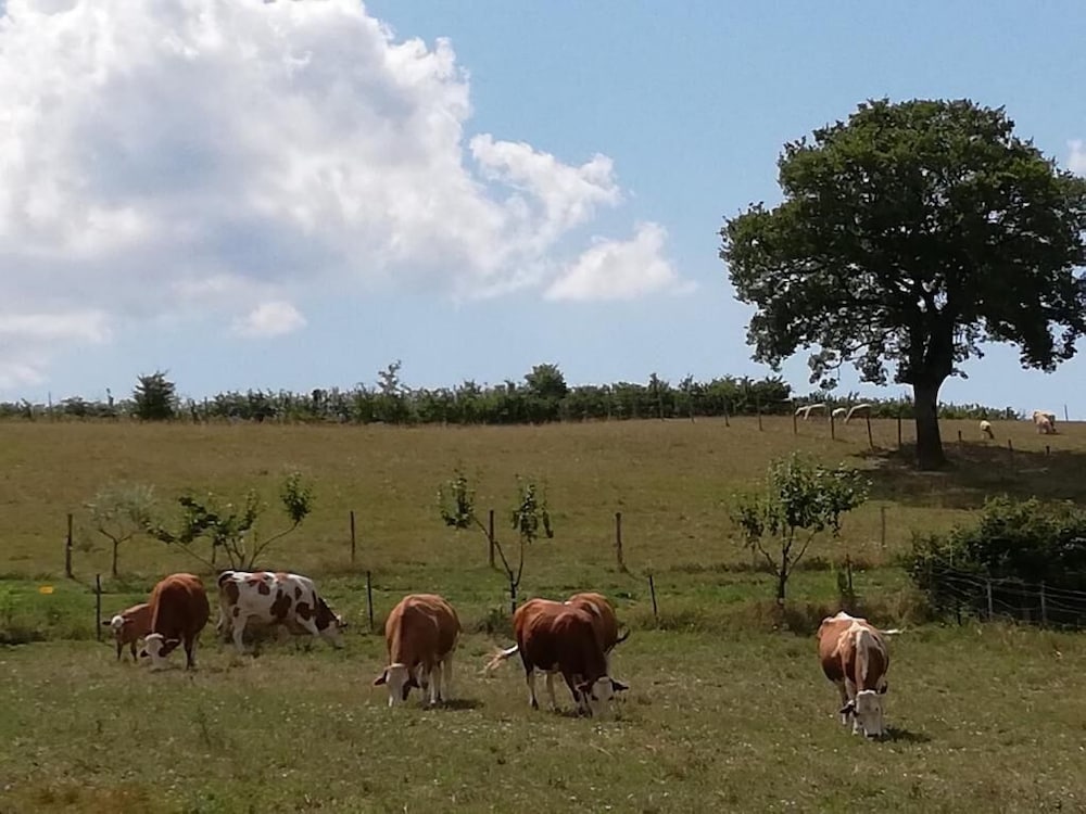 Valle del Poggio
