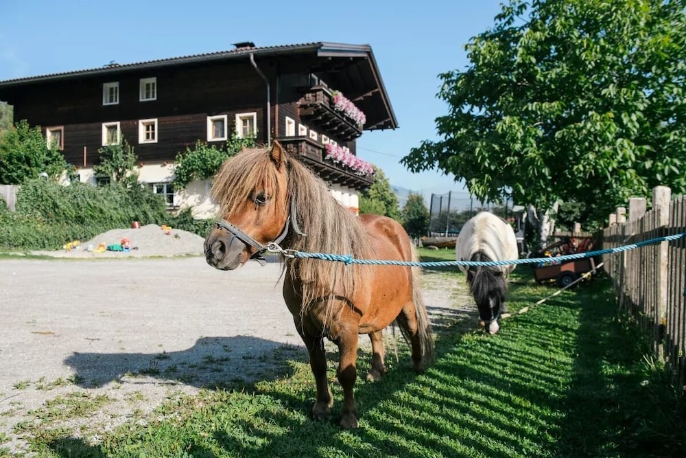 Familienbauernhof Göttfriedbauer