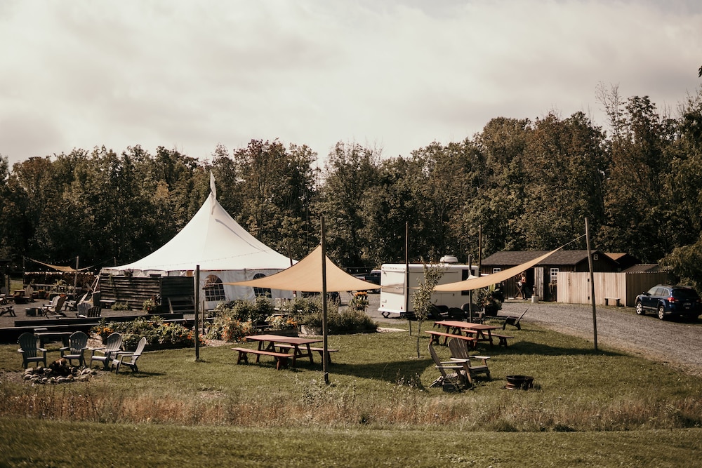 Firelight Camps