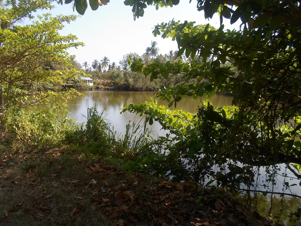 Photo 31