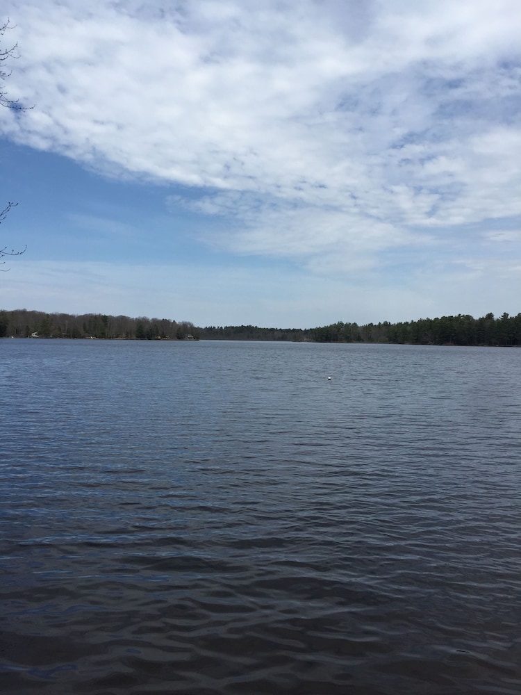 Black Lake Cabins