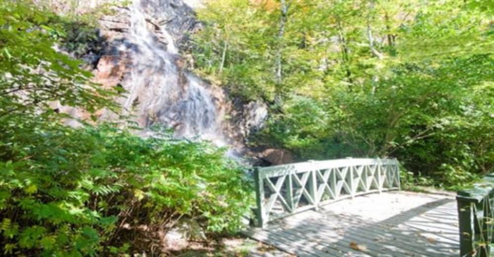 Le Plateau – RVMT