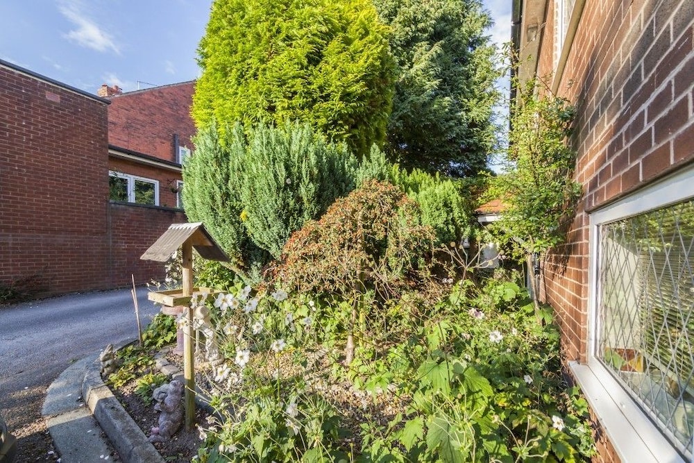 Ivy Guest House