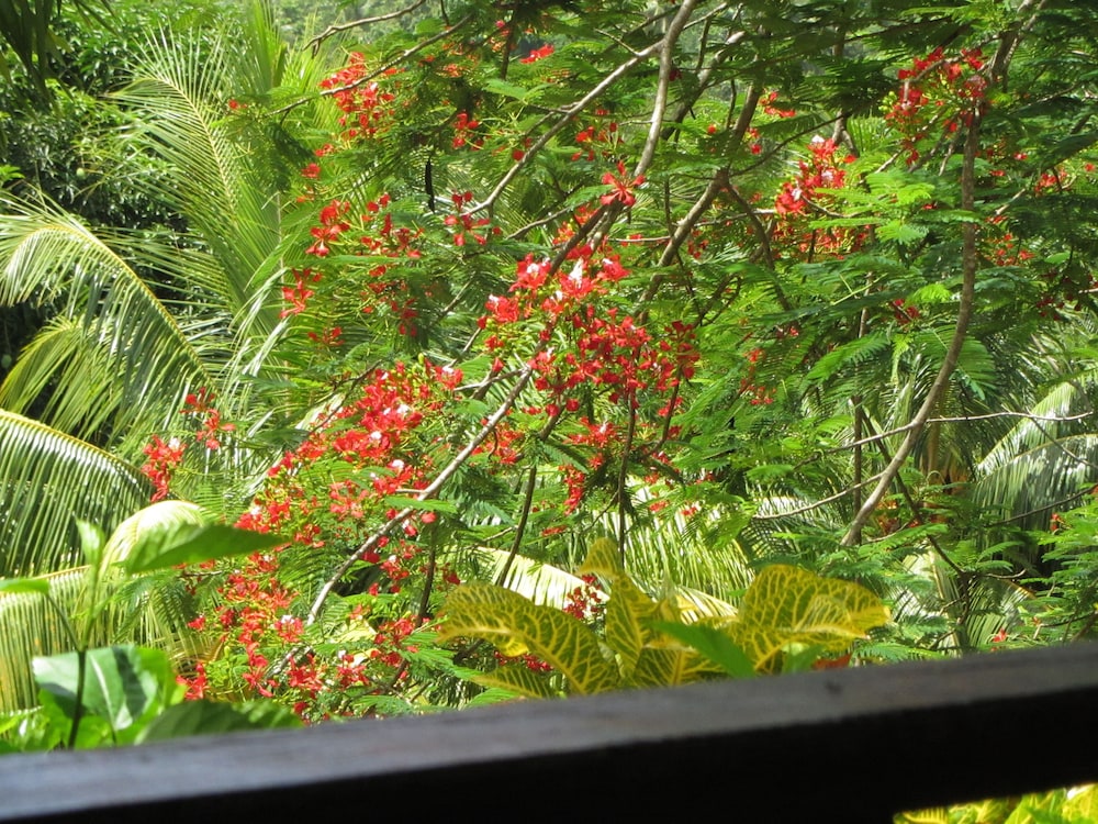 Hibiscus Valley Inn