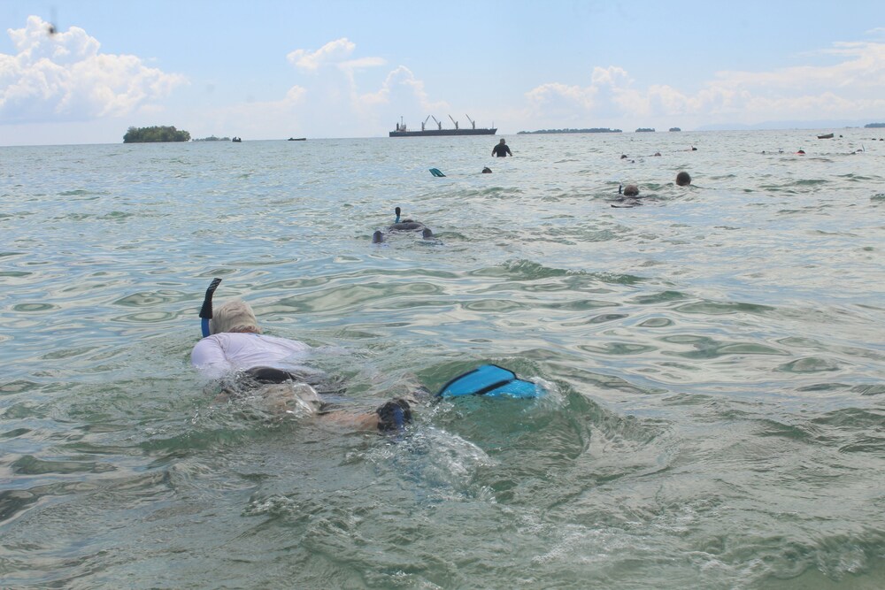 Photo 17