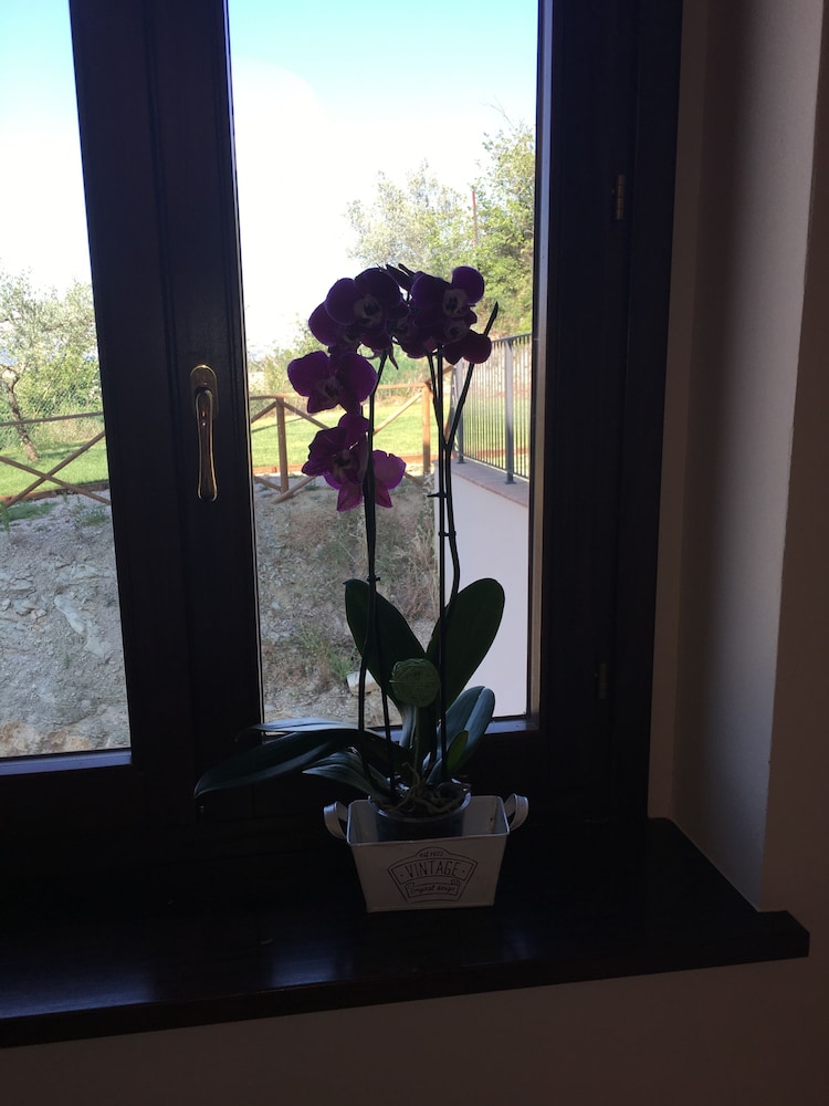 Photo 32