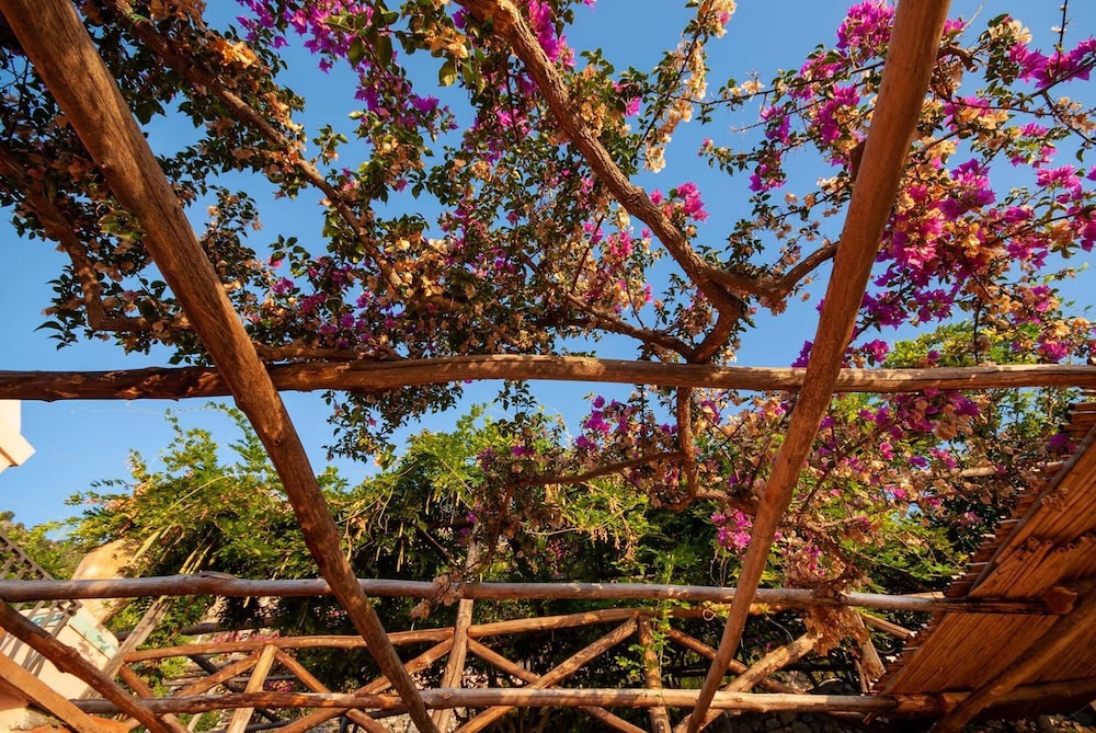 Villa Amalfi in Amalfi photo 3