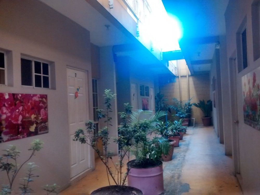 Hotel Shagul