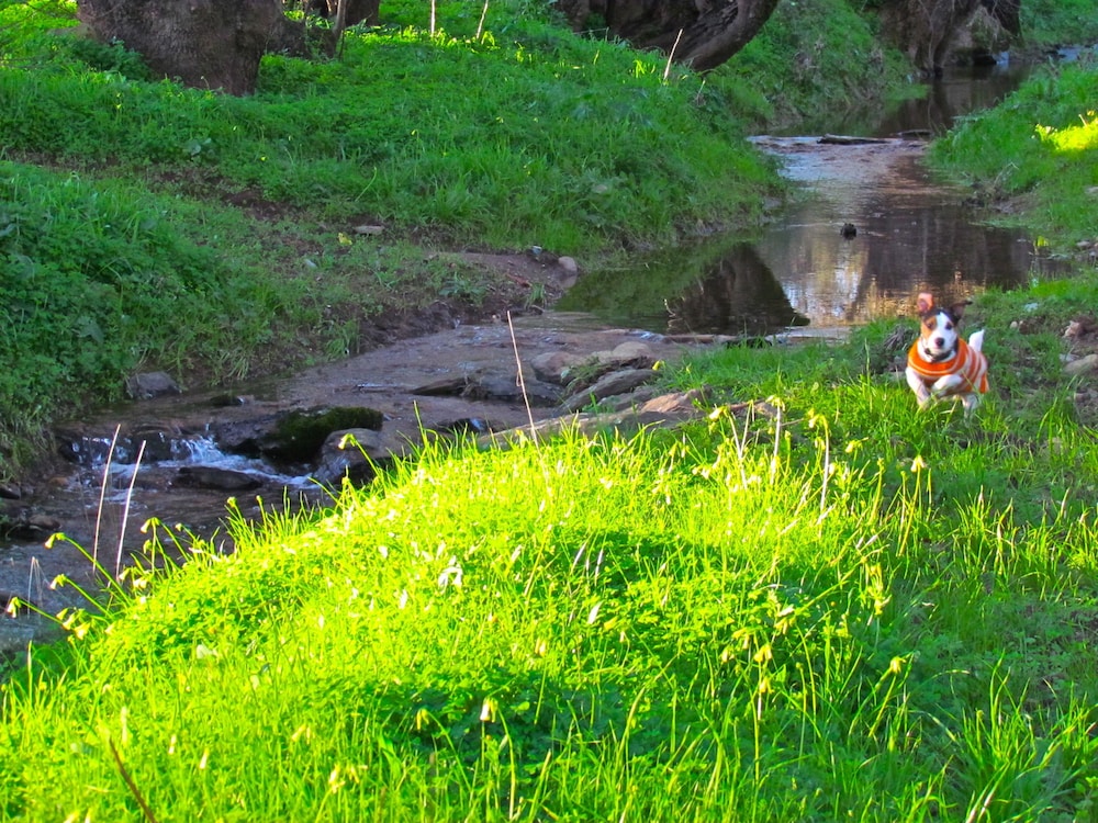 Herdade Água D'Alte, casa de huéspedes en Redondo — other