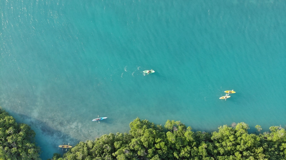 Shaka Caye
