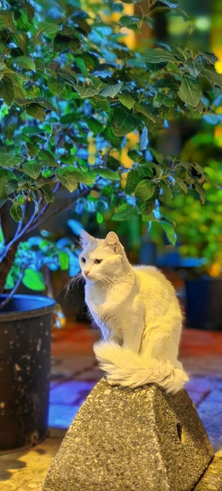 Taksim Diamond Hotel - Image 7