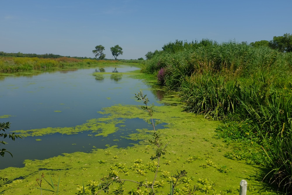 Roulotte La Nanouche