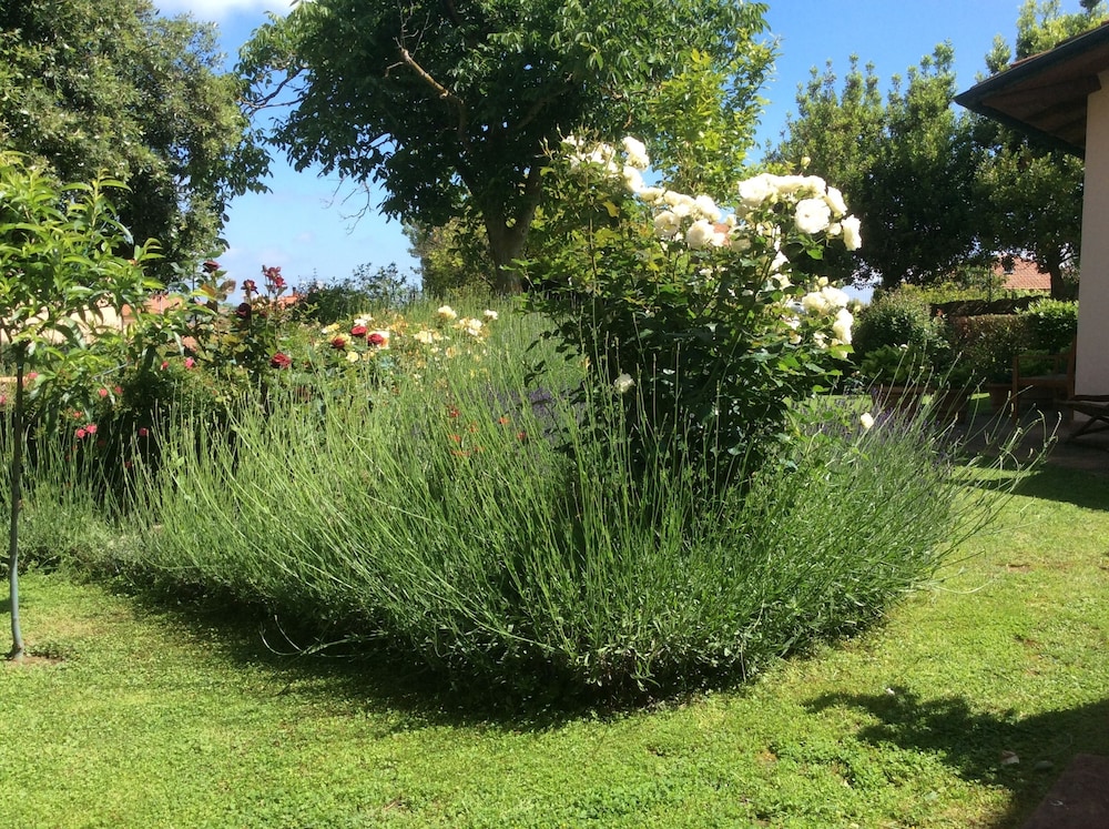 La Primavera B&B, photo 16